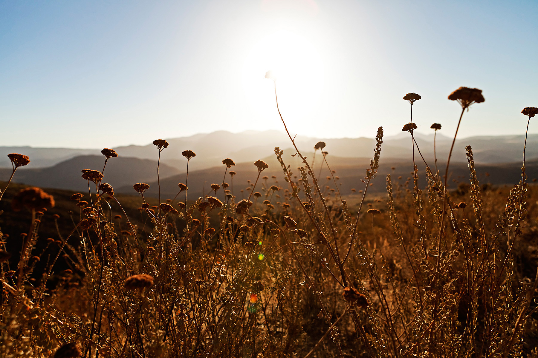 Cederberg, South Africa