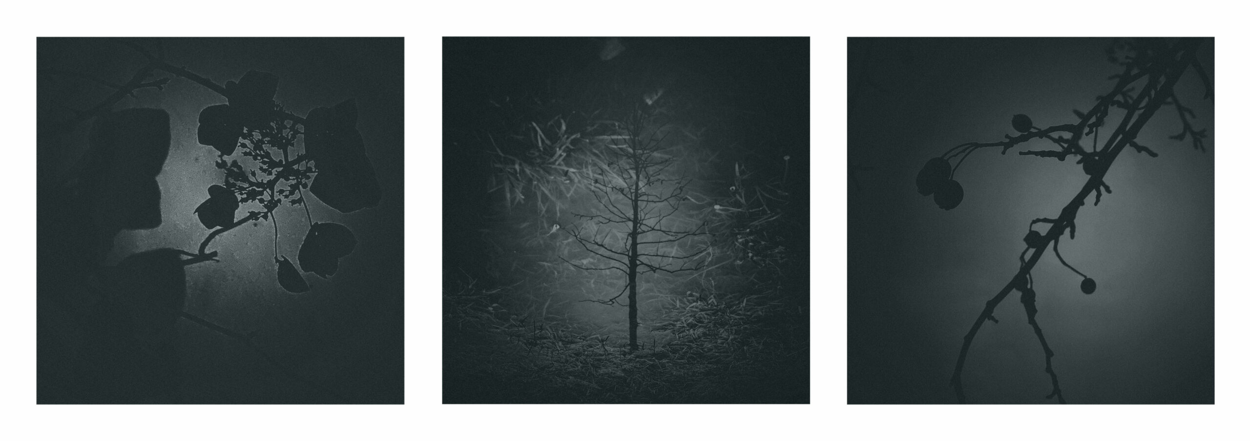 mattschwarz_09